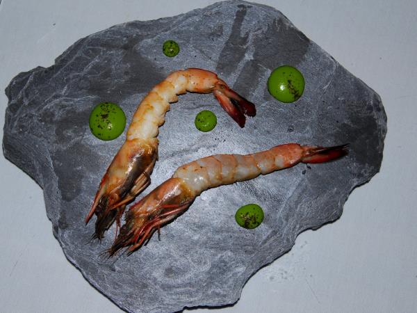 Noma, najboljša restavracija na svetu